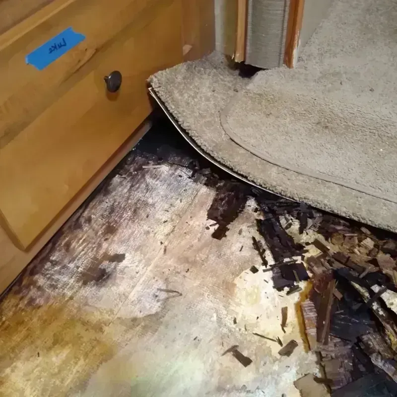 Wood Floor Water Damage in Lugoff, SC